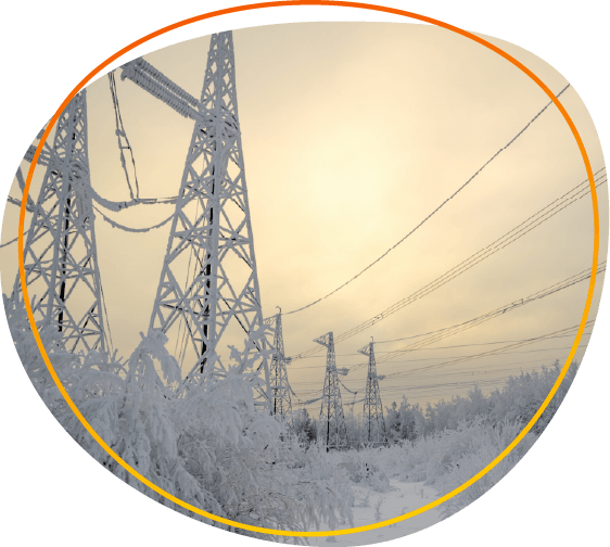 177.194 CEA Customer Services Merger