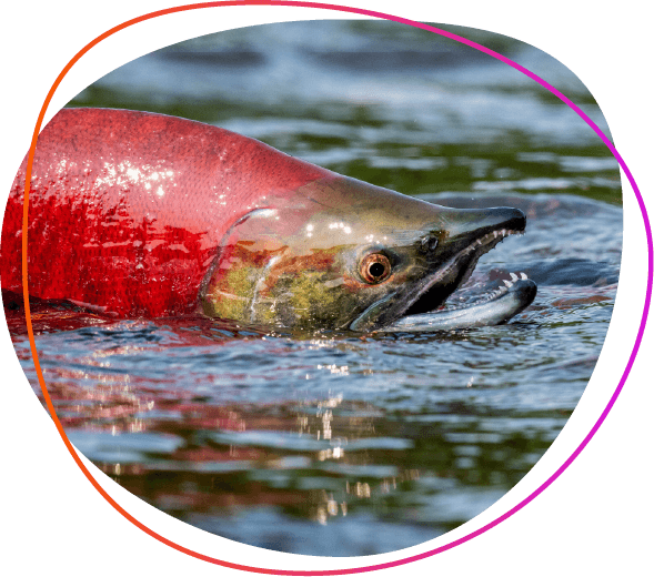 864.2 AKDFG Genetics Lab