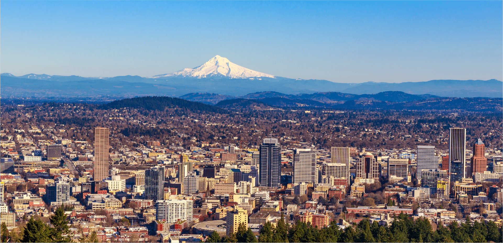 A Statewide Tracking System that Regulated a New Industry