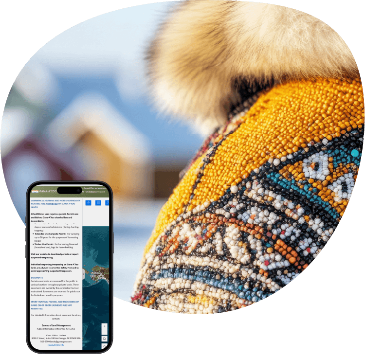 Athabascan tribe patterns with blurred houses in the background