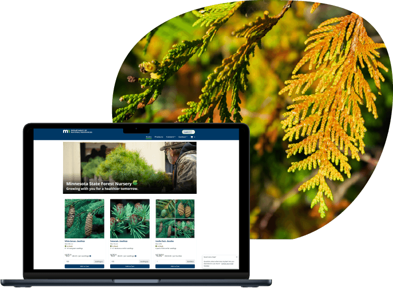 Brief_MN DNR_Nursery Ordering@0.75x-8