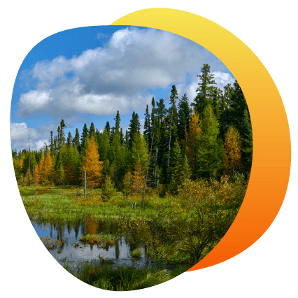 Featured Stone_MN DNR_Nursery Ordering@0.75x-8