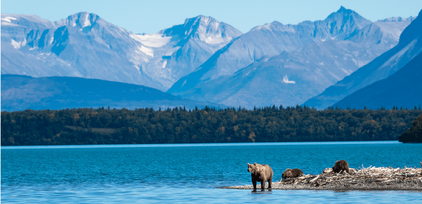 AK WILDS: A Scalable Platform for Wildlife Research and Analysis 