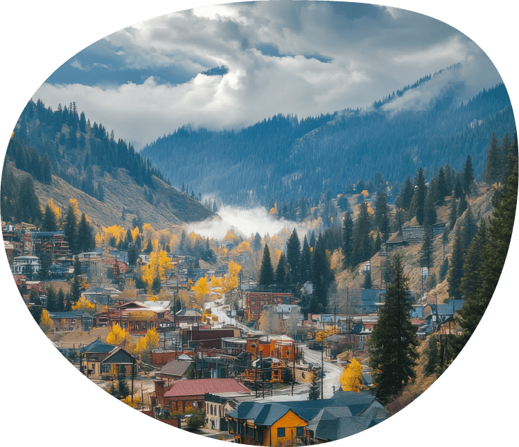 trees, houses and sky