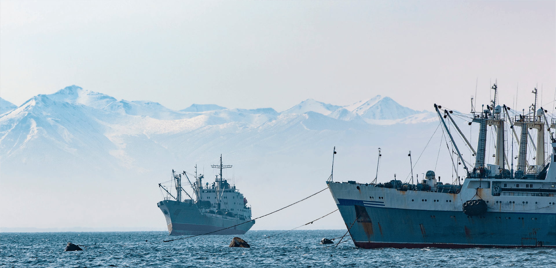 A Long-Term Partnership Strengthening Fisheries Management
