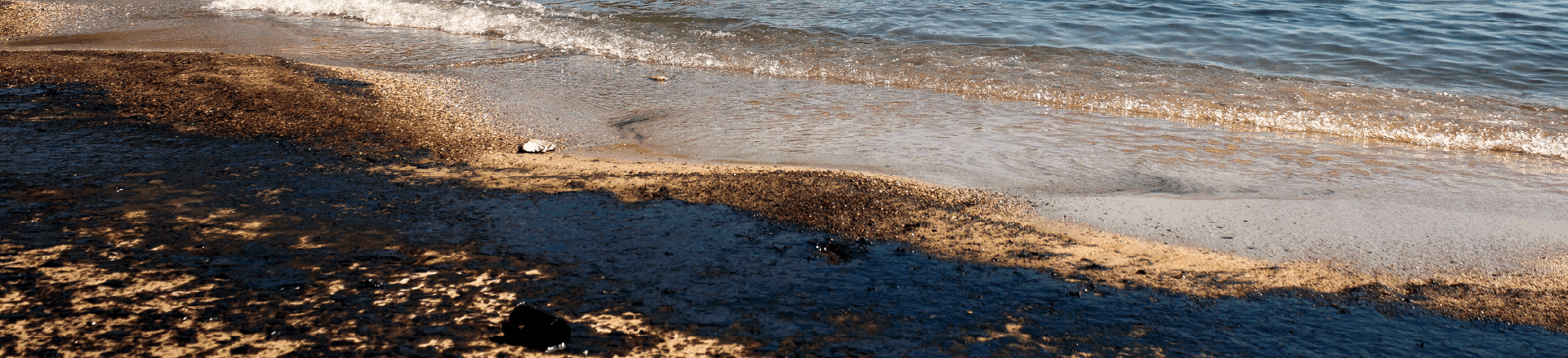 Skinny Photo - OilSpillResponse 0
