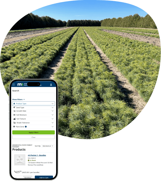 Solution_MN DNR_Nursery Ordering@0.75x-8