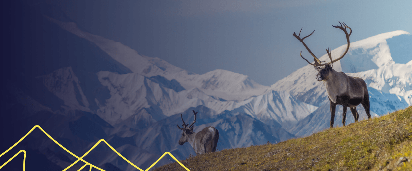 What's Next_ADFG_AK Wilds@0.75x-8